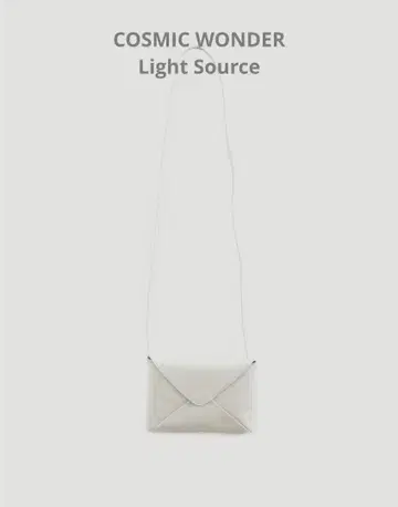 Light leather envelope purse - Small