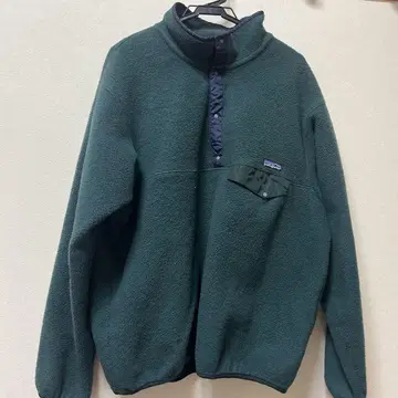 patagonia 스냅t
