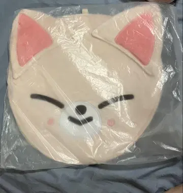 스키즈 아이엔 트레이딩 카드