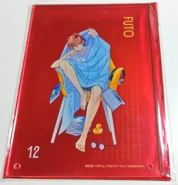 브라콘 스이파라 A상 아크릴 아트 패널 아사히나 후토