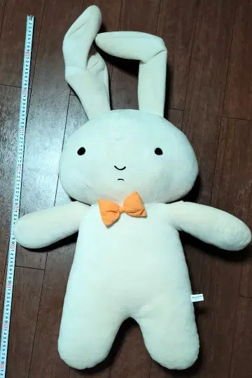 유리(네네)의 토끼 약 90cm
