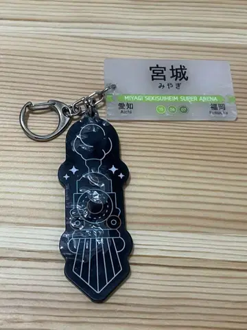 히나타자카46 Happy Train Tour 미야기 공연 키링