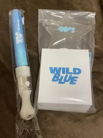 WILD BLUE 응원봉