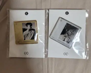 EXO 디오 핀 배지 2개 세트