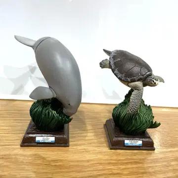 도바 수족관 입체 컬렉션 듀공 푸른바다거북 세트