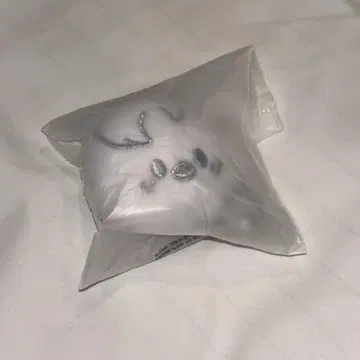 SKZOO FACE KEYRING SILVER Ver.