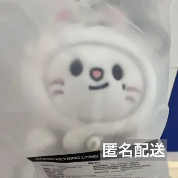 stray kids celebrate popup 지니레트 키링