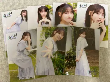 쿠루스 린 브로마이드 7장 묶음 판매