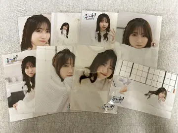 쿠루스 린 브로마이드 8장 묶음 판매
