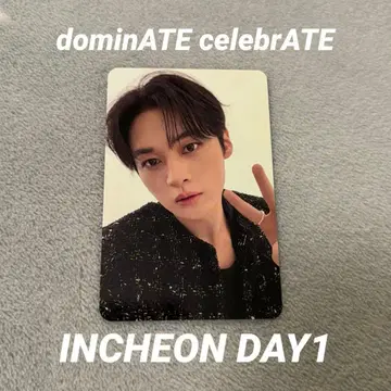 straykids STAYZONE 트레이딩 카드 dominate 리노