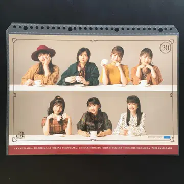 4993 모닝구무스메 핑업 포스터 30