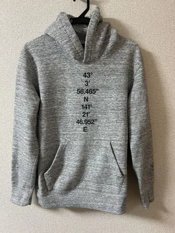THE NORTH FACE SAPPORO SOUVENIR HOODIE