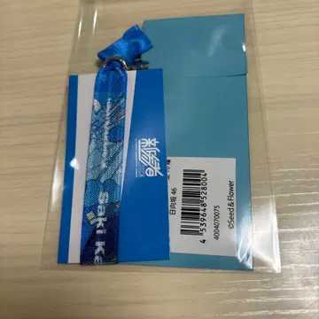 히나타자카 46 신참자 랜덤 리본 밴딩 가타야마 사키