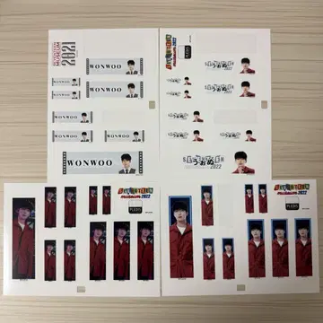 SEVENTEEN 세븐틴 원우 스티커