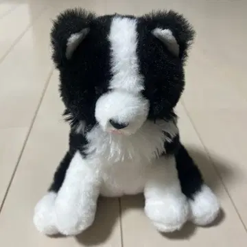 축 늘어진 보더 콜리