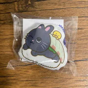 RIIZE 원빈 WONBIN 라이즈시 쿠션 키링