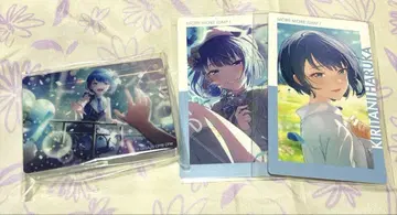 프로세카 키리타니 하루카 노블 아트 에피카 묶음 판매