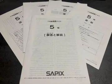 사피 2025년 7월 복습 테스트 5년 해답과 해설