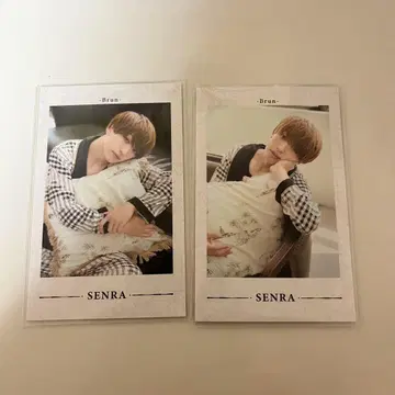 우라시마사카타센 센라 Senra 폴라로이드 2장 세트