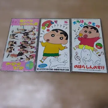 벚꽃 친구들 사쿠라 팀 카토 노리코 & 사쿠라 팀 노하라 신노스케
