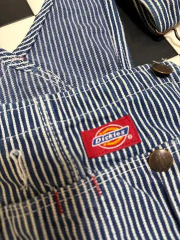 Dickies 스트라이프 오버롤