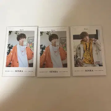 우라시마사카타센 센라 Senra 폴라로이드 3장 세트 Brun