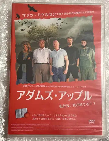 미개봉 아담스 애플 DVD