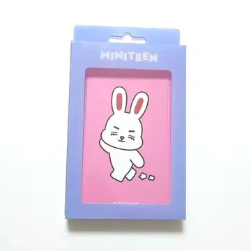 SEVENTEEN MINITEEN 네임택 에스쿱스