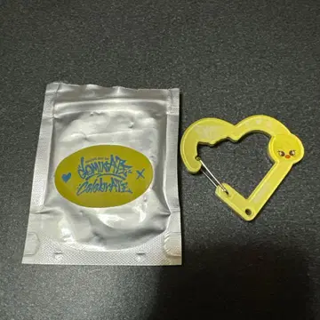 Straykids popup 스키즈 필릭스 포가리 아크릴 카라비너