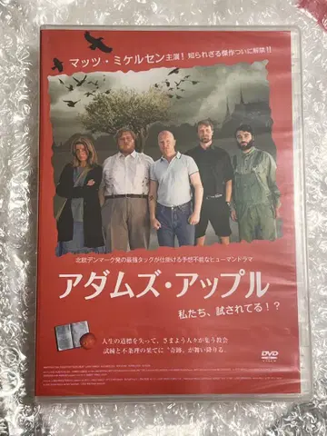 아담스 애플 DVD