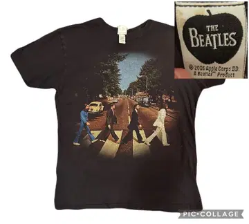 THE BEATLES 애비 로드 T셔츠 2005년산 애플 택