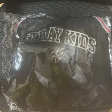 Stray Kids 업그레이드 혜택