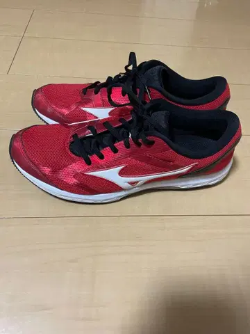 Mizuno 러닝화