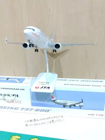일본항공 JAL 일본 트랜스오션항공 JTA B737 1/130