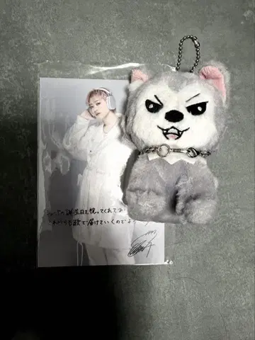 초특급 슈야 슈가루 마스코트