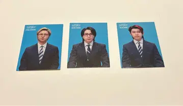 BABEL no TOH 바벨 미세스 포토 카드 미세스 그린애플 3장