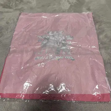 aespa 빤쮸토끼 콜라보 토트백 2개