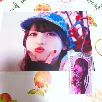 팬텀 시타 x REFLEM 모나