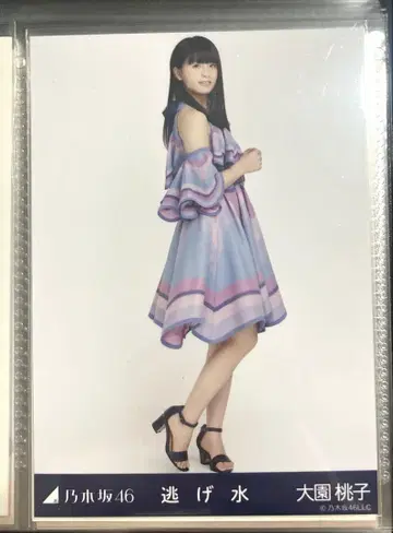 오오조노 모모코 신기루 히키