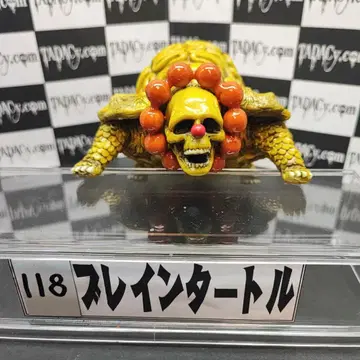 118 브레인 터틀