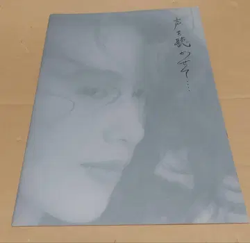 쿠도 시즈카 목소리를 들려줘 팜플렛