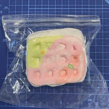 스퀴즈 수감