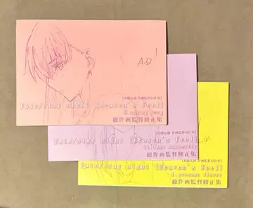 Fate Heaven's Feel 원화집 세트