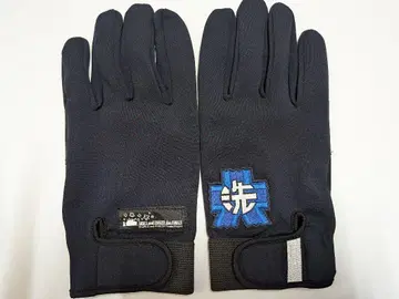 걸즈 앤 판처 그로브 Mk.II 오아라이 여자학원