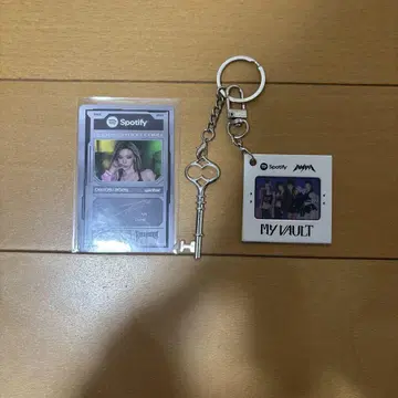 Spotify Winter ID 카드 & MY VAULT 키링