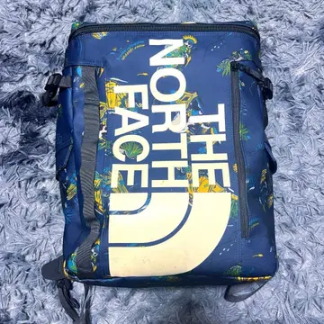 THE NORTH FACE 백팩