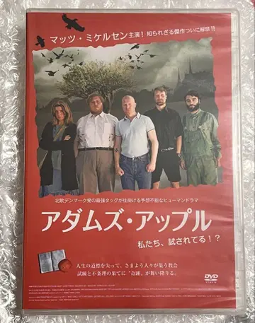 아담스 애플 DVD