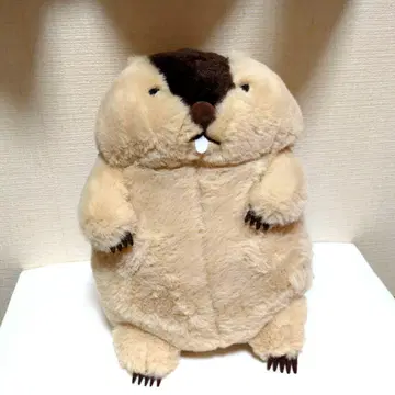마모트 봉제 인형 아타로