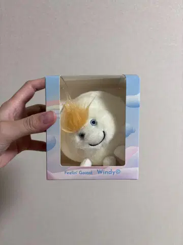 Windy짱 후지이 카제 봉제 인형