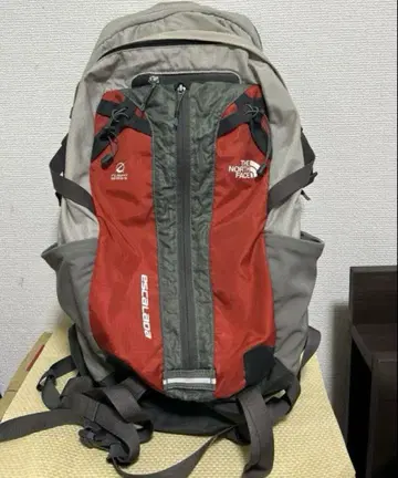 THE NORTH FACE FLIGHT SERIES 백팩 그레이